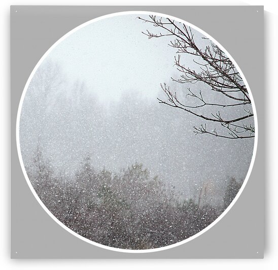 Snowing Moment by Joan Han