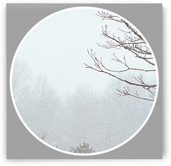 Snowing Momen II by Joan Han