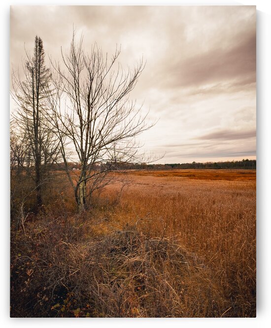 Ice House Trail 1 by Dave Therrien