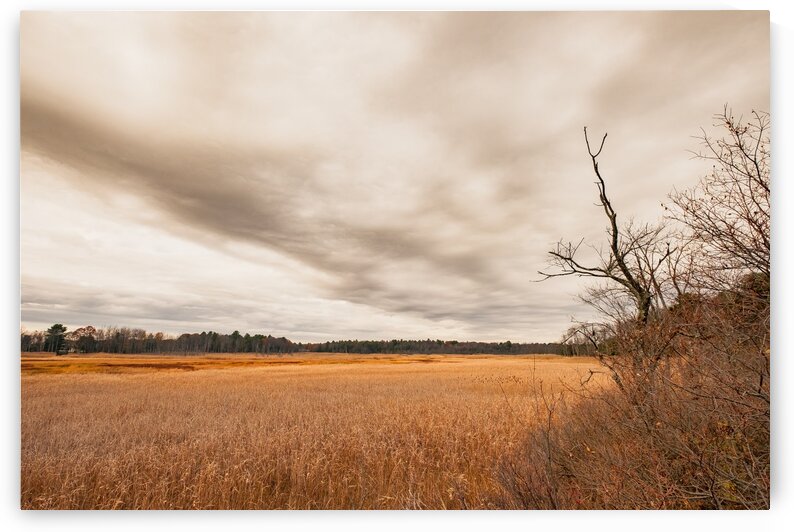 Ice House Trail 7 by Dave Therrien