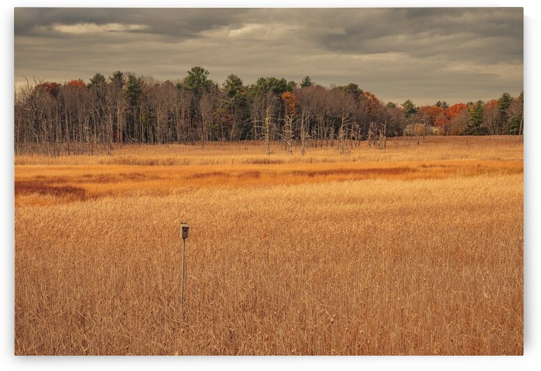 Ice House Trail 9 by Dave Therrien