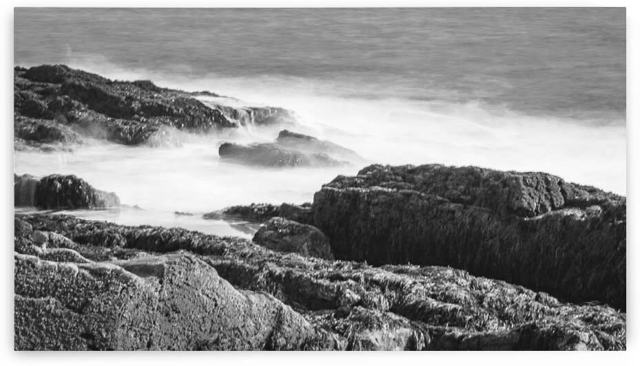 Cape Elizabeth Coast 3 by Dave Therrien