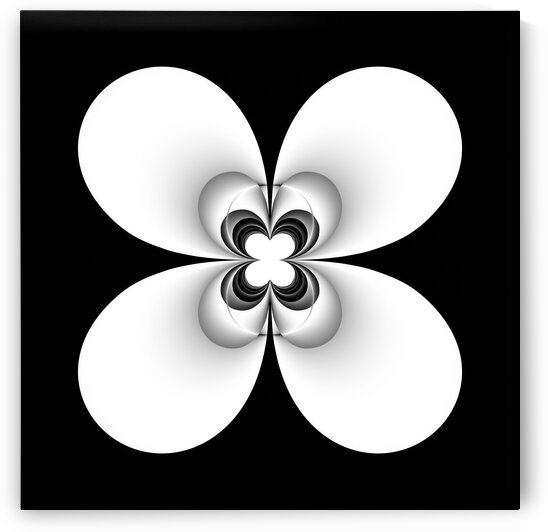 Fleur blanche White flower 2 by Createm