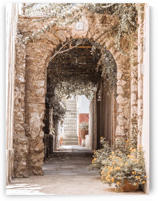 Stone arch doorway, Capri Island, Italy by Assaf Frank