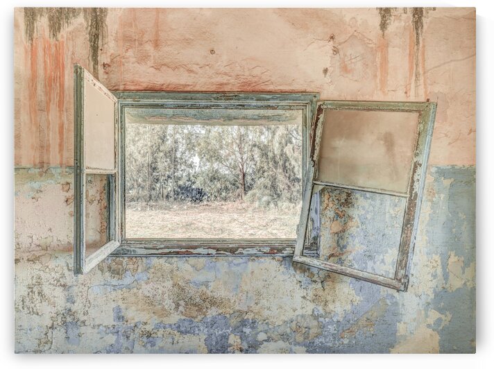 Window, looking out of a derelict building by Assaf Frank
