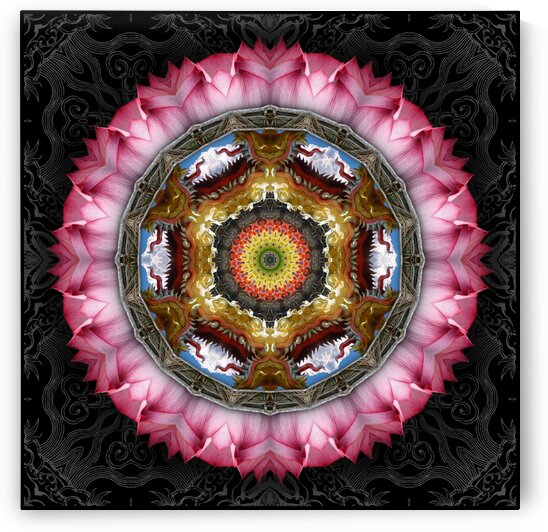 Lotus_MG_6282_1 by Chris Perkins