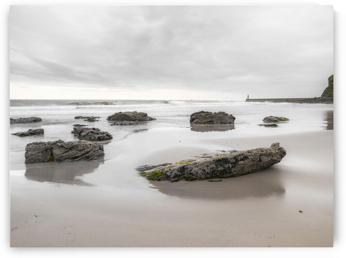 Rocks on a sandy beach by Assaf Frank