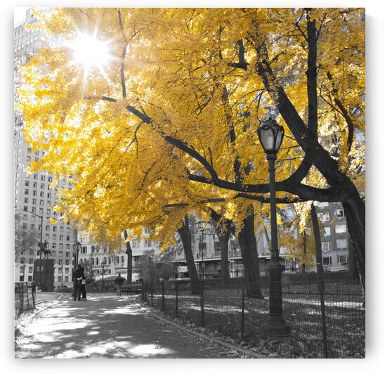 Pathway through Central park, New York City by Assaf Frank