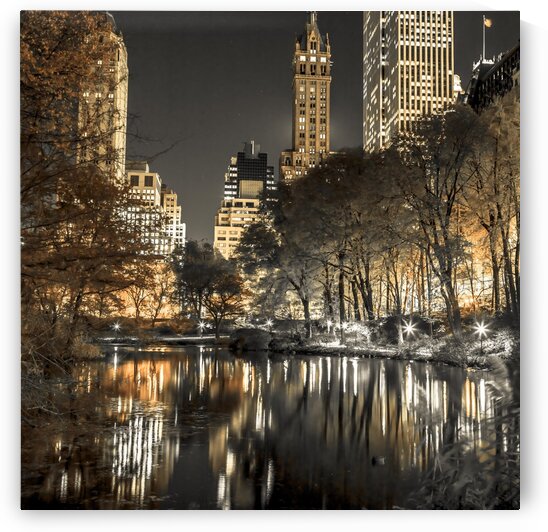 Evening view of Central Park in New York City by Assaf Frank
