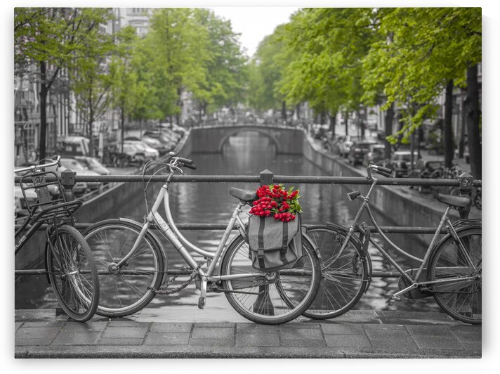 Bicycle with bunch of flowers by the canal, Amsterdam by Assaf Frank