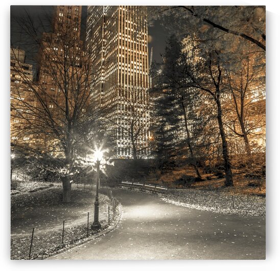 Evening view of Central Park in New York City by Assaf Frank