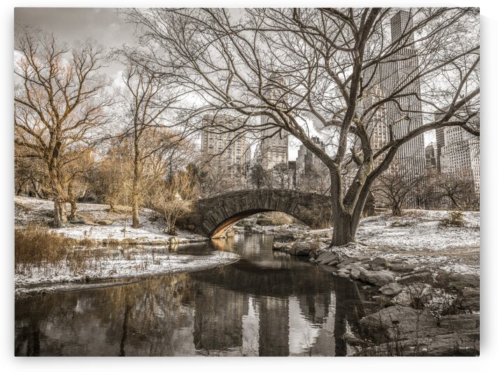 Central park in New York by Assaf Frank