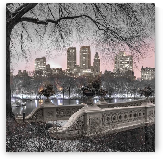 Central park with Manhattan skyline, New York by Assaf Frank