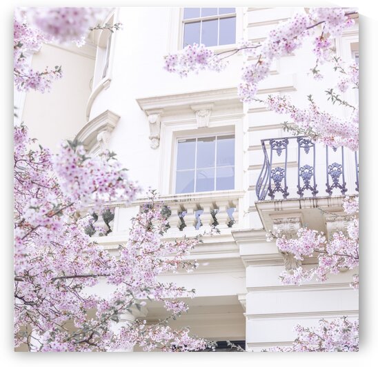 Spring in London by Assaf Frank