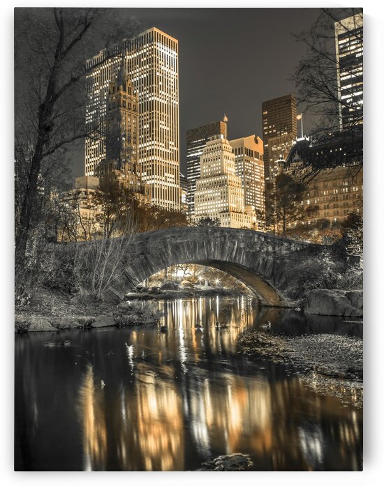 Evening view of Central Park in New York City by Assaf Frank