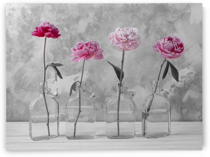 Peonies in glass bottles by Assaf Frank