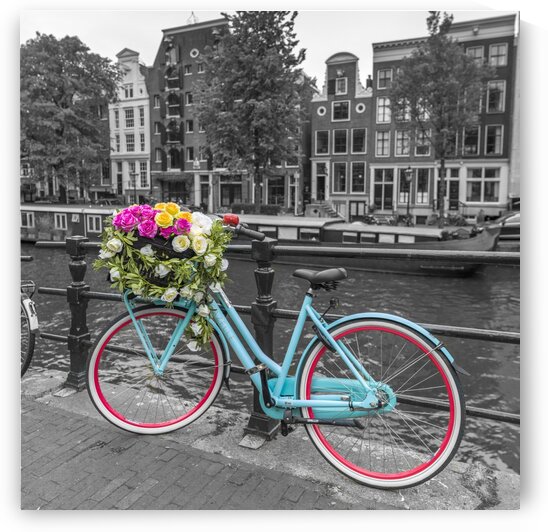Bicycle with bunch of roses on bridge, Amsterdam by Assaf Frank