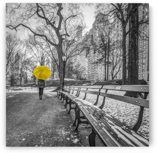 Tourist on pathway with Yellow umbrella at Central park, New York by Assaf Frank