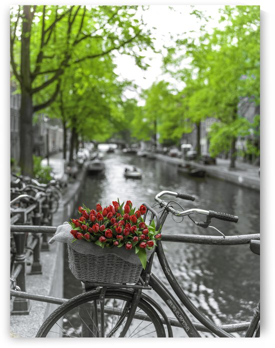 Bicycle with bunch of flowers by the canal, Amsterdam by Assaf Frank