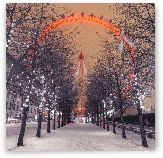 London Eye at night with trees in the foreground lit with lights and snow on the pathway, London, UK by Assaf Frank
