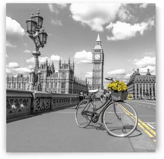 Bicycle with bunch of flowers on Westminster Bridge, London, UK by Assaf Frank