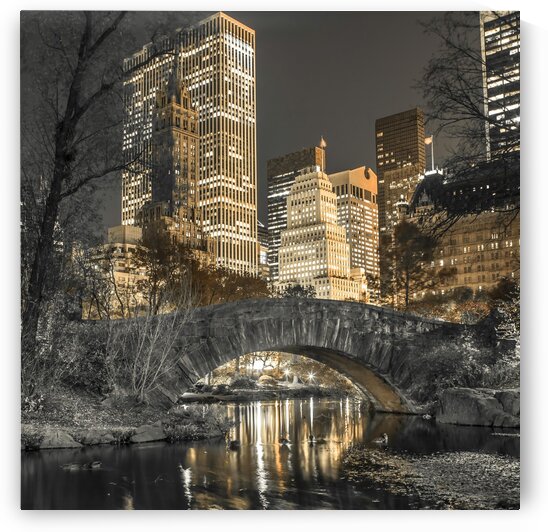 Evening view of Central Park in New York City by Assaf Frank