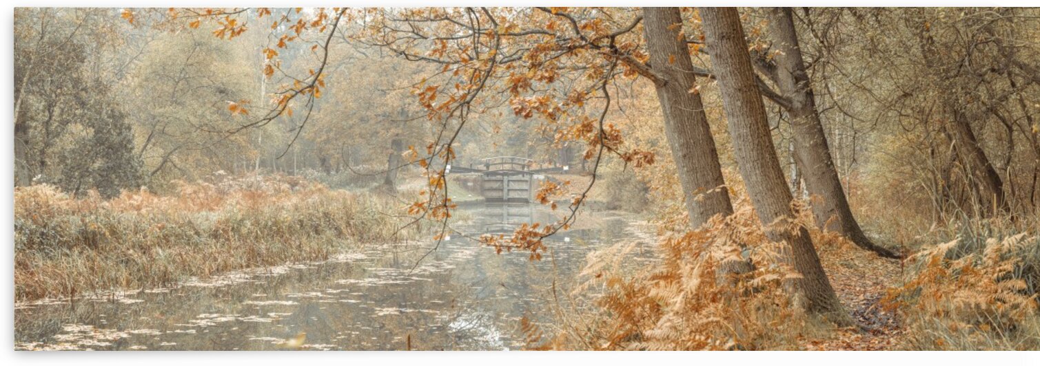 Canal through a forest by Assaf Frank