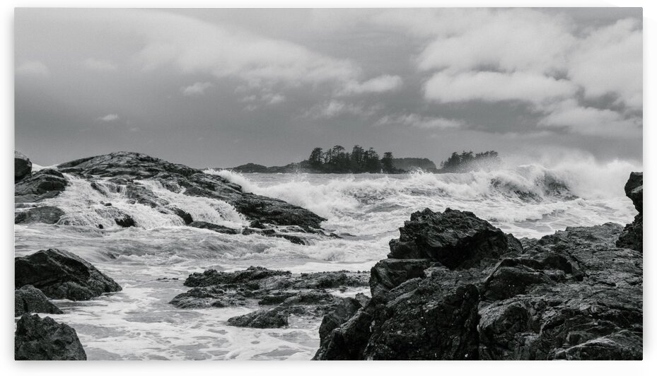 nature by Keaton Van Dyke