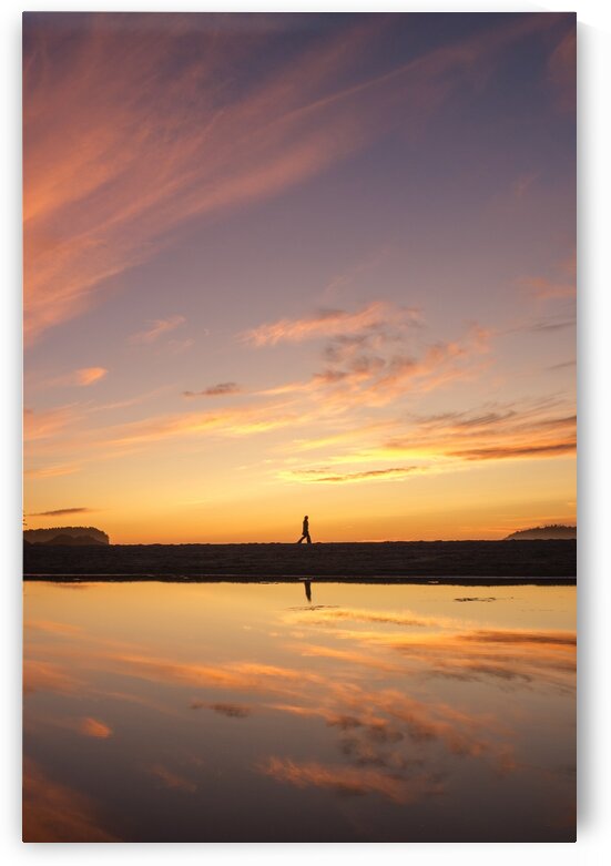 suns 2 by Keaton Van Dyke