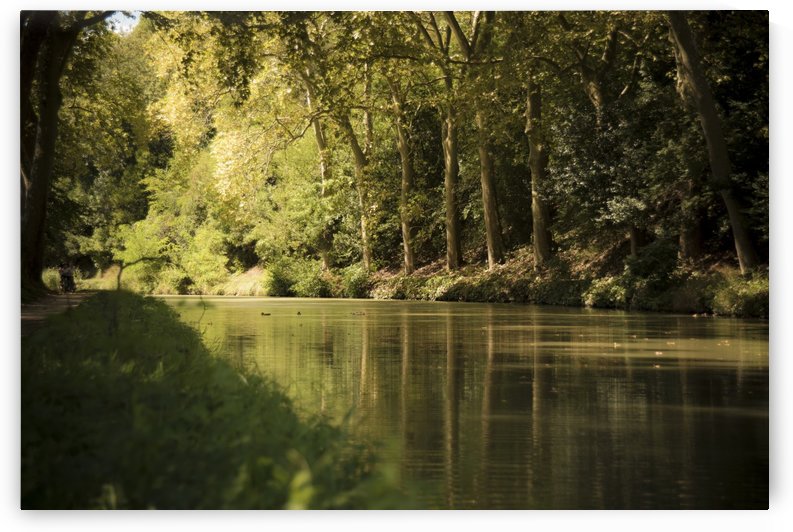 Canal  Carcassone by Fabien Dormoy