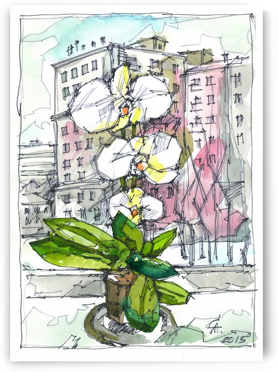 Flower on the window by Andrey Saratov