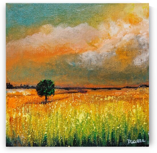 Ciel DAutomne by Daciana