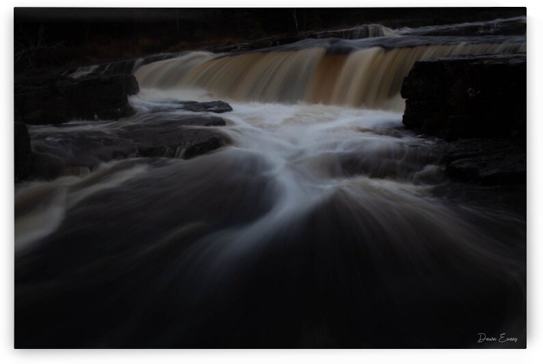 Manuels River by Dawn Evans