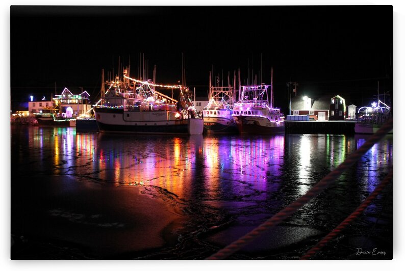 Port de Grave Christmas by Dawn Evans