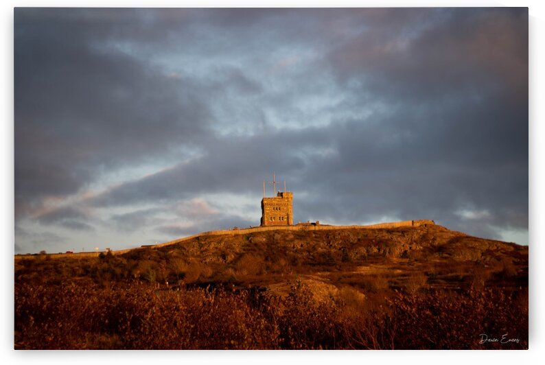 Cabot Tower by Dawn Evans