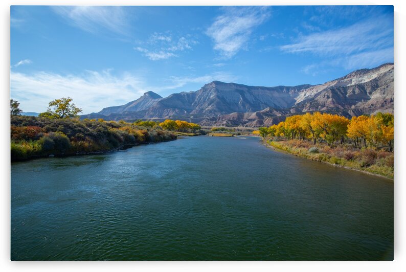 5DM40575_edited 1 by Lynn J Shore   Photographist