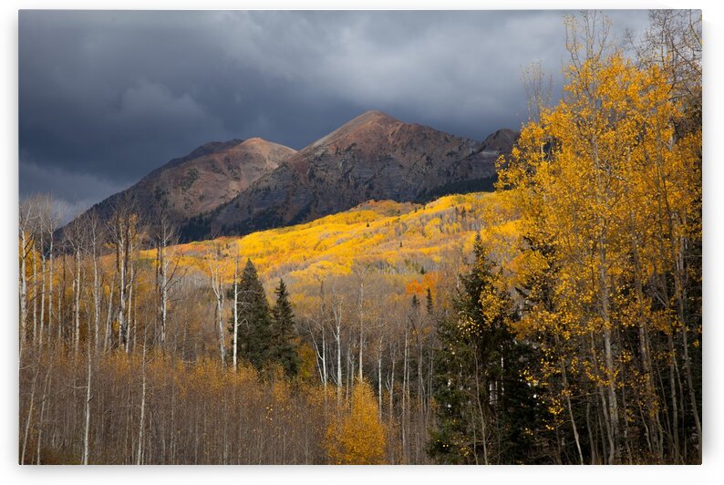 IMG_0574_edited 2 by Lynn J Shore   Photographist