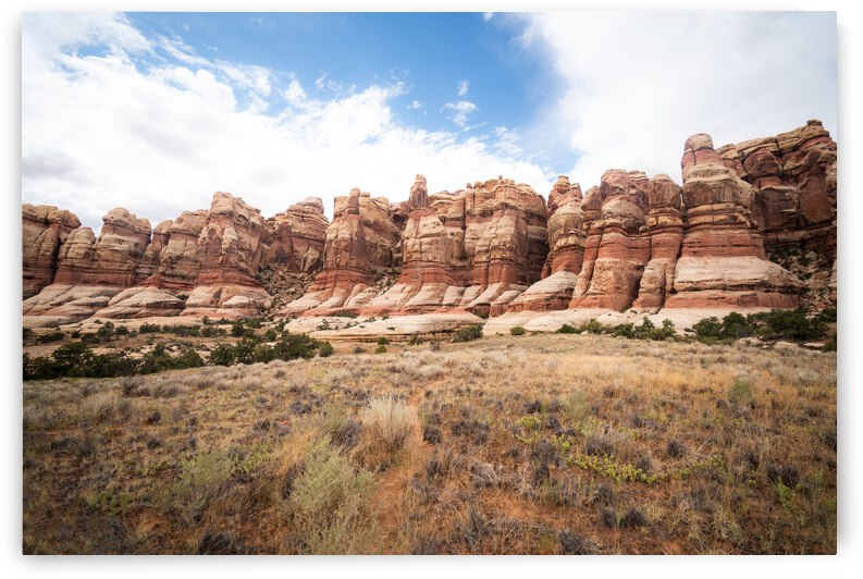 The Needles by Noah Lang