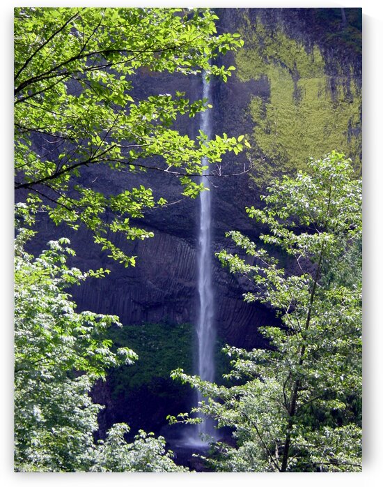 Secret Falls - Waterfall Pacific Northwest USA  by 360 Studios
