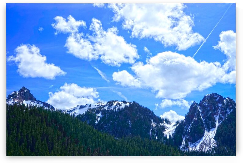 In the Cascade Mountains by 360 Studios