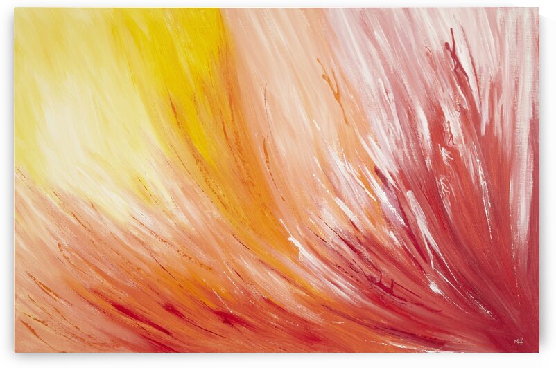 Closest view at  a  Flower. by Martine Harris