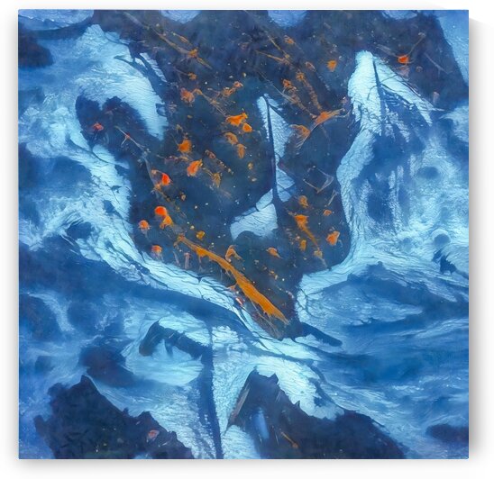 Des Lunettes by Steven Sandner