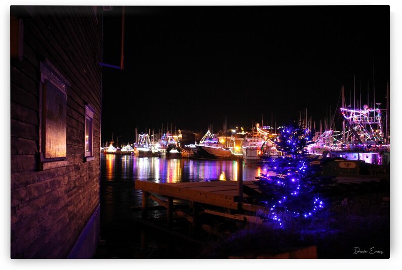 Port de Grave Christmas 4 by Dawn Evans