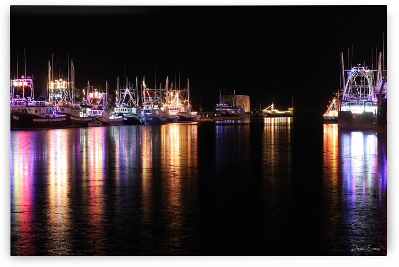 Port de Grave Christmas 5 by Dawn Evans