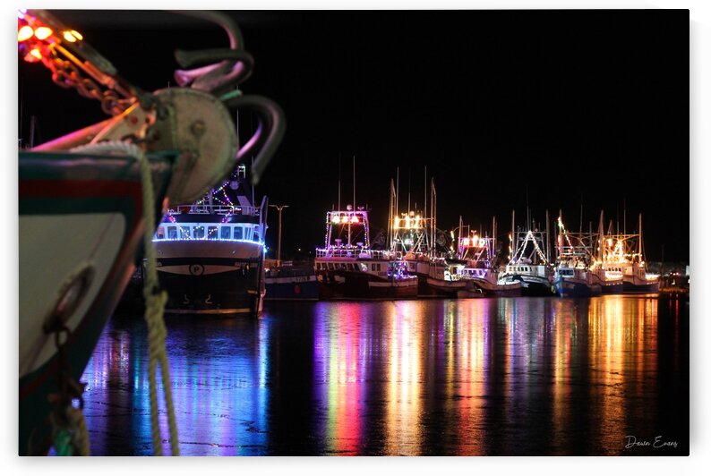 Port de Grave Christmas 2 by Dawn Evans