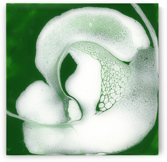 Unexpected Surprise by Carla White