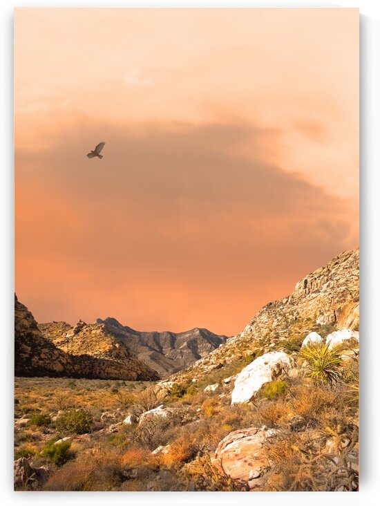 Desert and Mountains by Frank Wilson