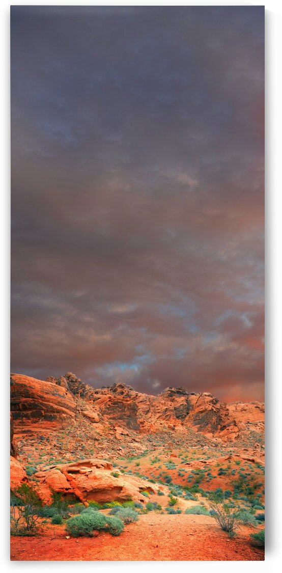 Desert Hiking Among The Sandstones by Frank Wilson