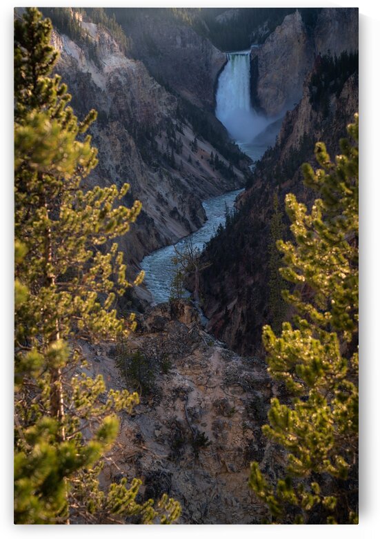Yellowstone Falls by Noah Lang