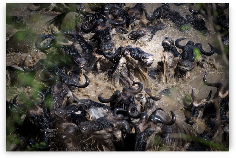 The Inferno by Karen Lunney  by 1x